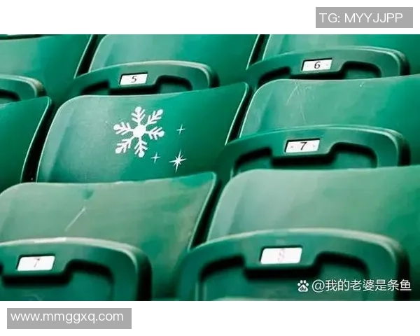 雪花足球佬带你领略冬季足球的魅力与激情尽在冰雪之中